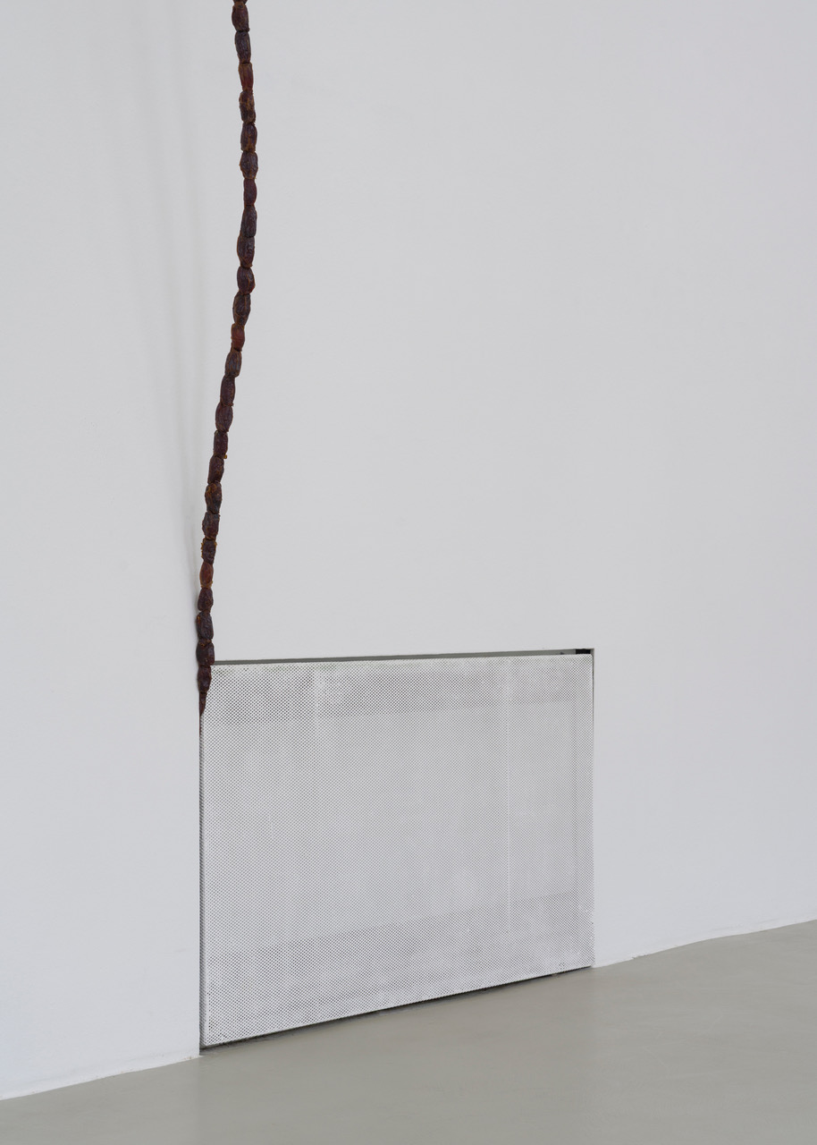 Kunstverein-Muenchen_Flower+Planet_46.jpeg