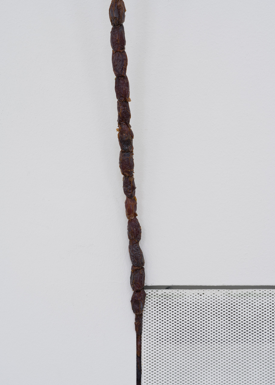 Kunstverein-Muenchen_Flower+Planet_47.jpeg