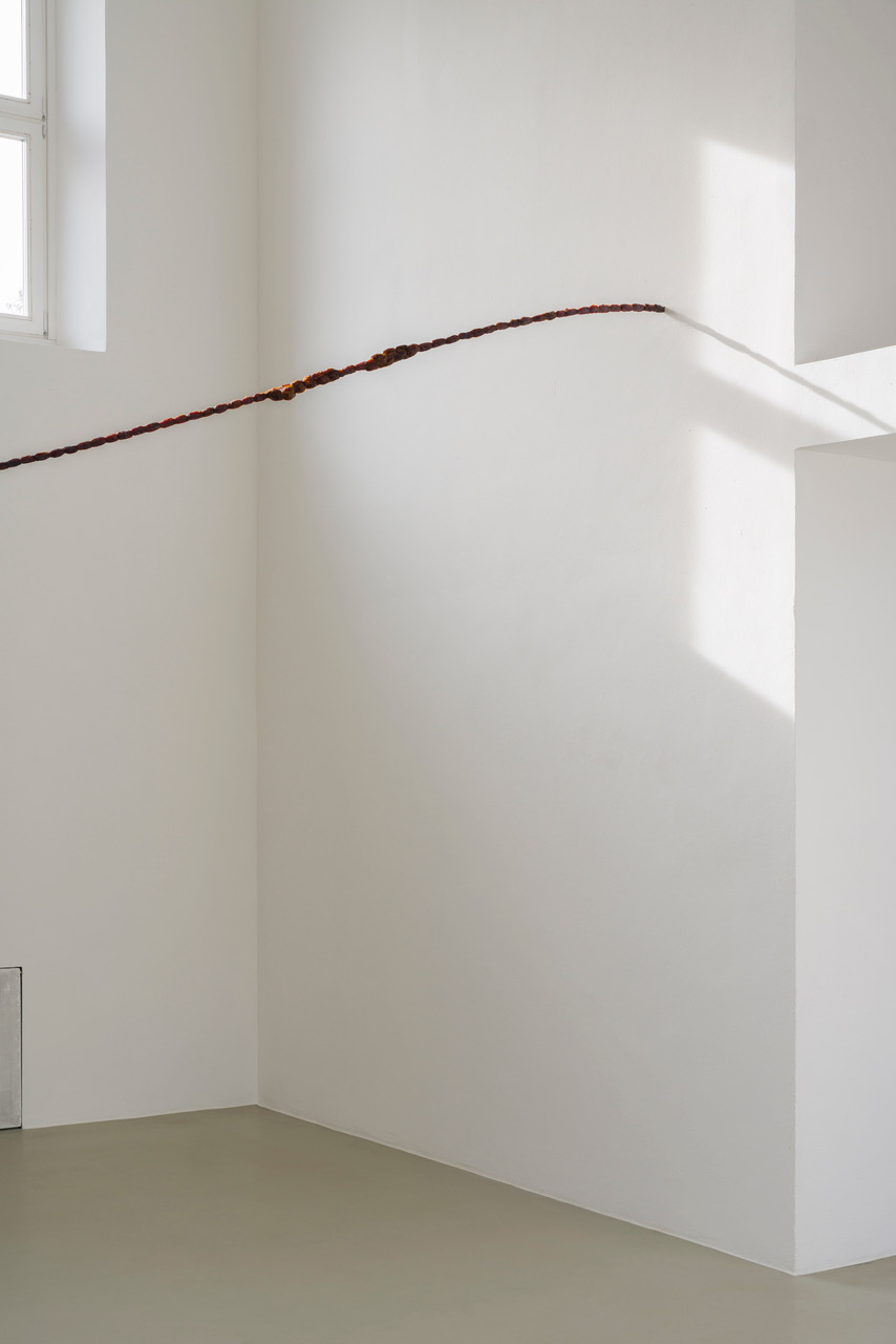 Kunstverein-Muenchen_Flower+Planet_50.jpeg