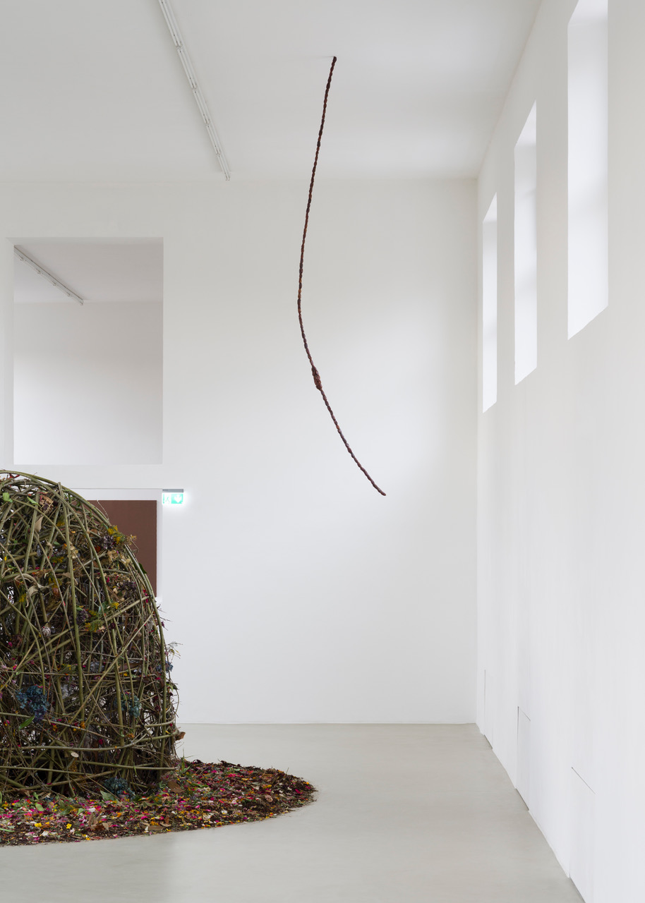 Kunstverein-Muenchen_Flower+Planet_51.jpeg