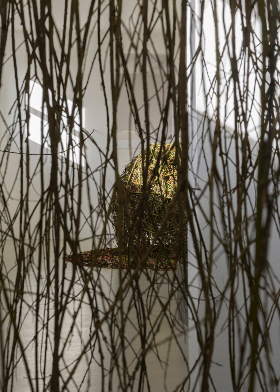 Kunstverein-Muenchen_Flower+Planet_58.jpeg