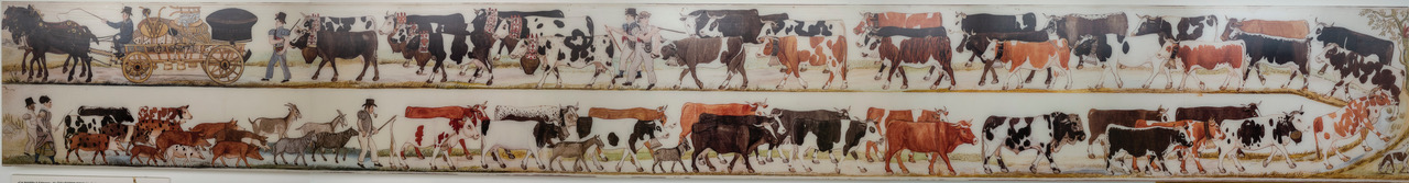 cow pano copy.jpeg