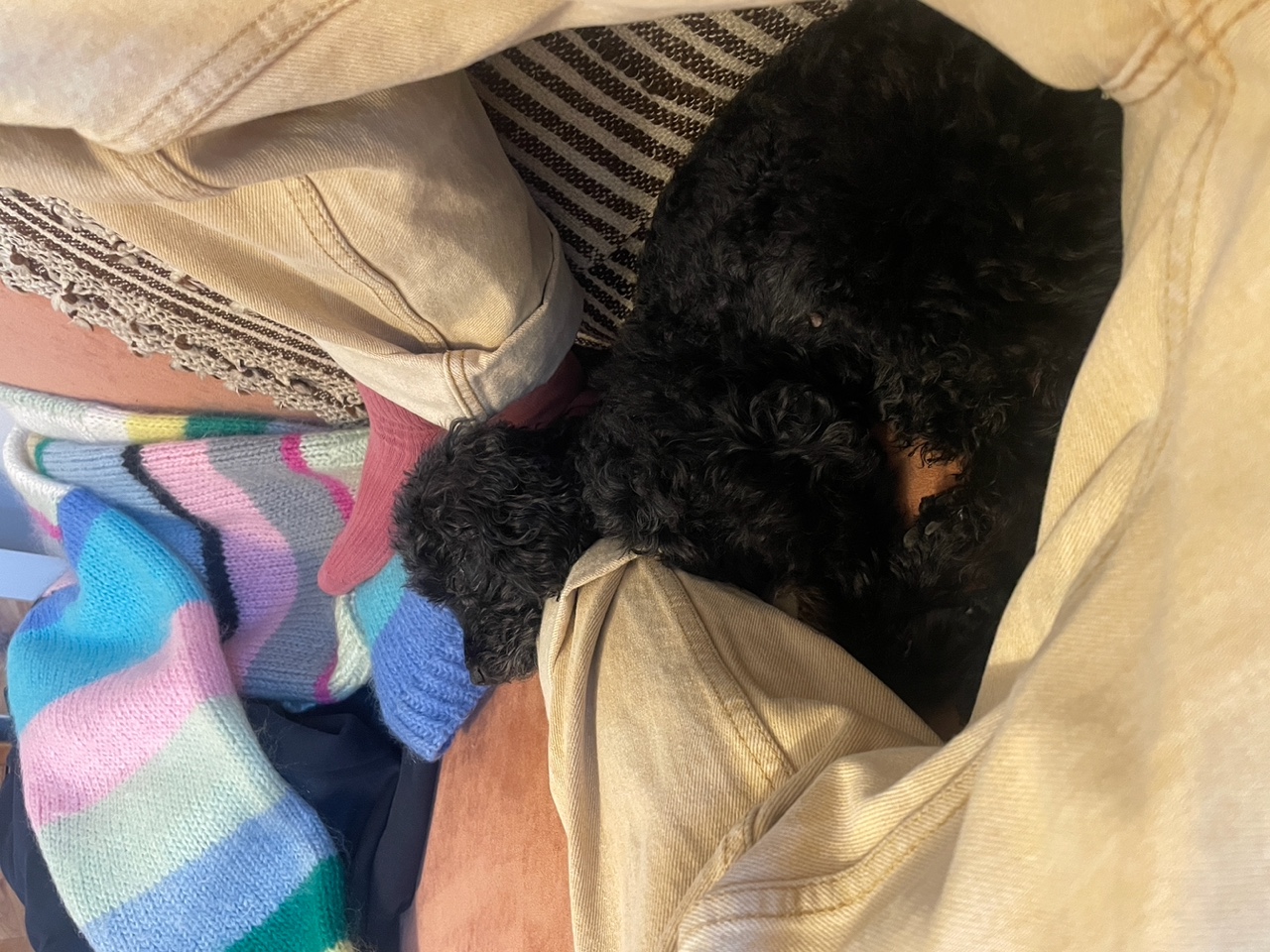IMG_2305+2.jpeg