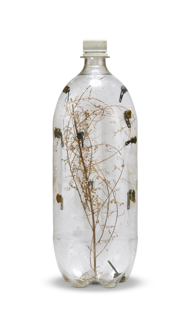 2L-Hammons-flies-in-bottle-christies-1200x1992.jpeg