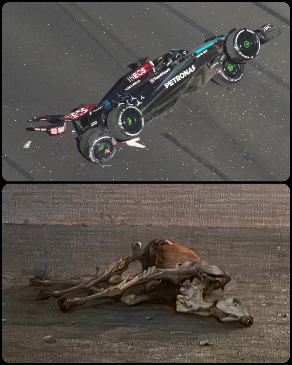 GJbq5-GXQAAirG5.jpeg