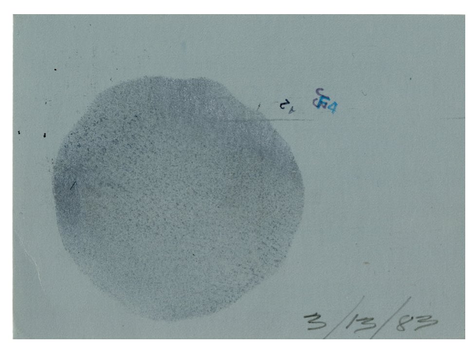 hammons-snowball-jam-invite-moma-filipovic.jpg