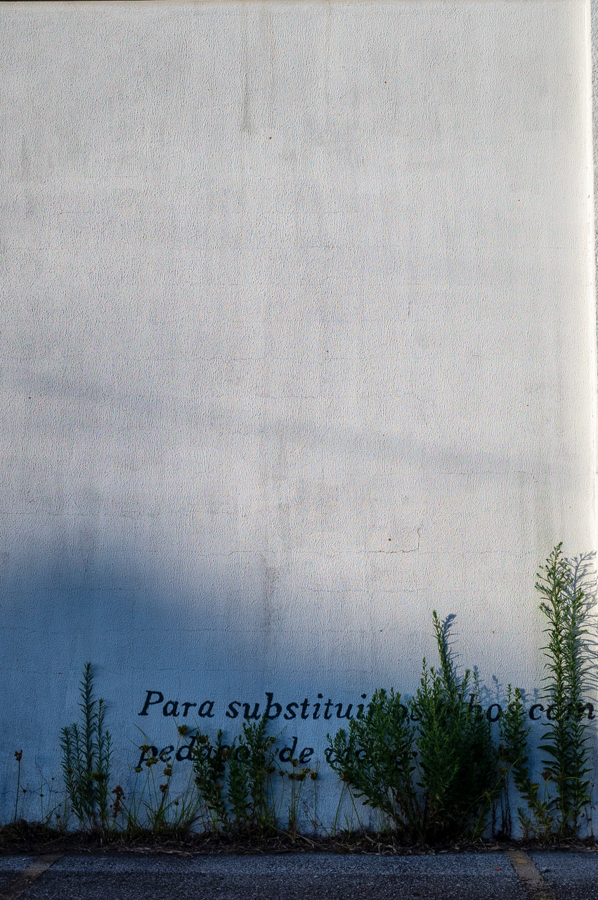 R0003263.jpeg