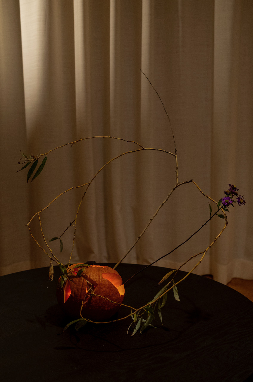 R0010730.jpeg