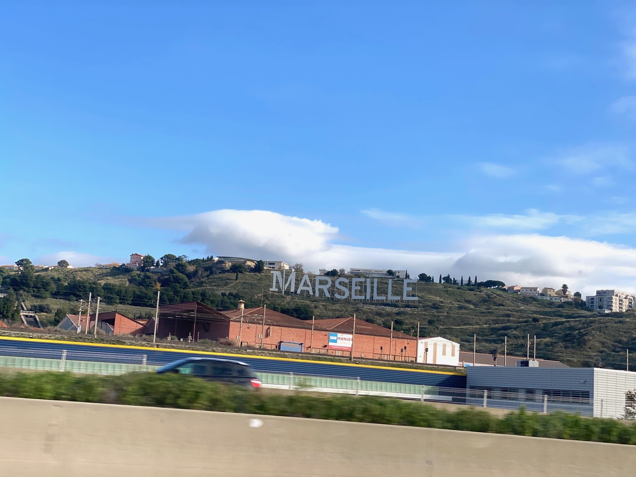 IMG_1239.jpeg