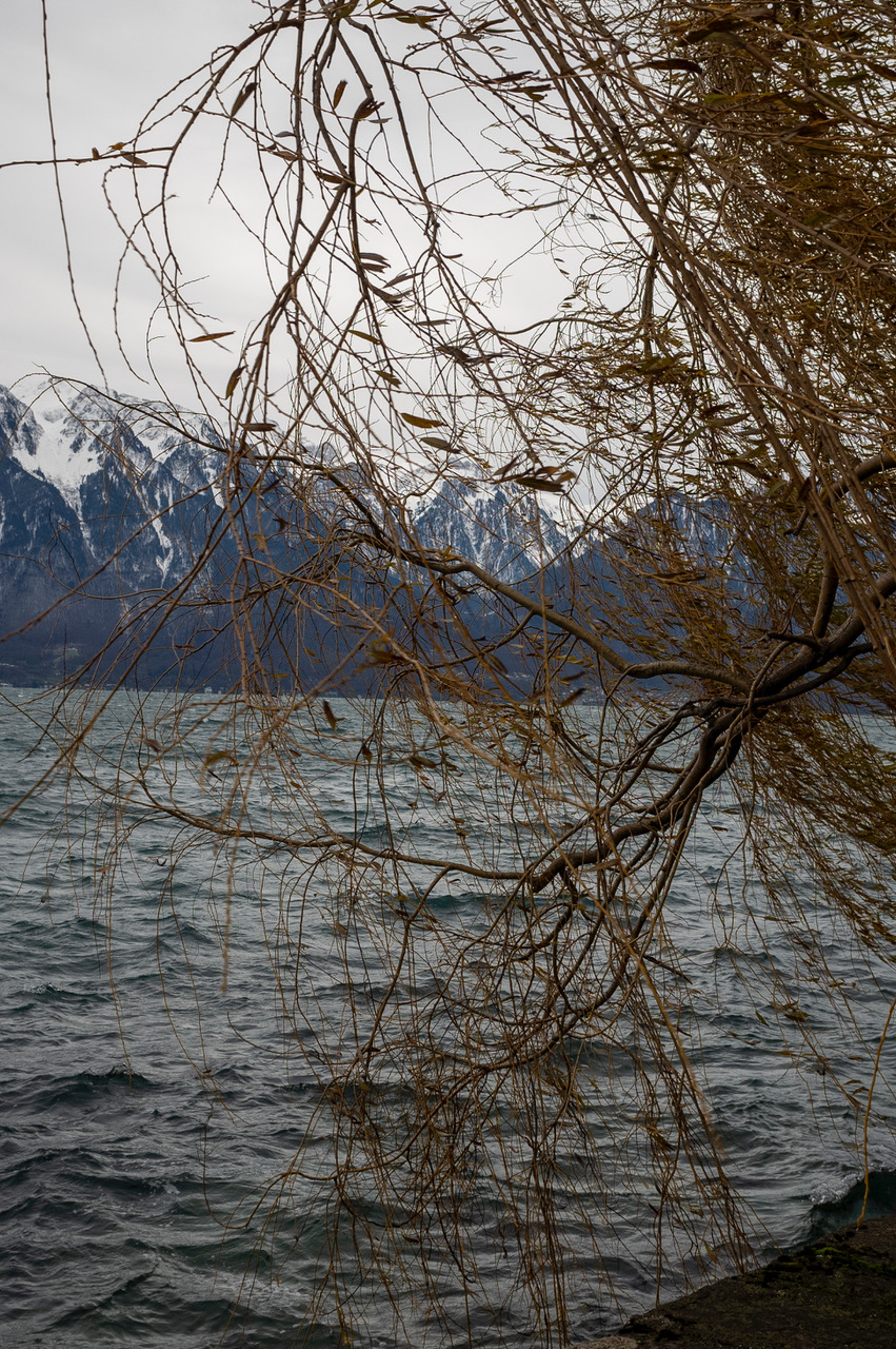 R0010879.jpeg