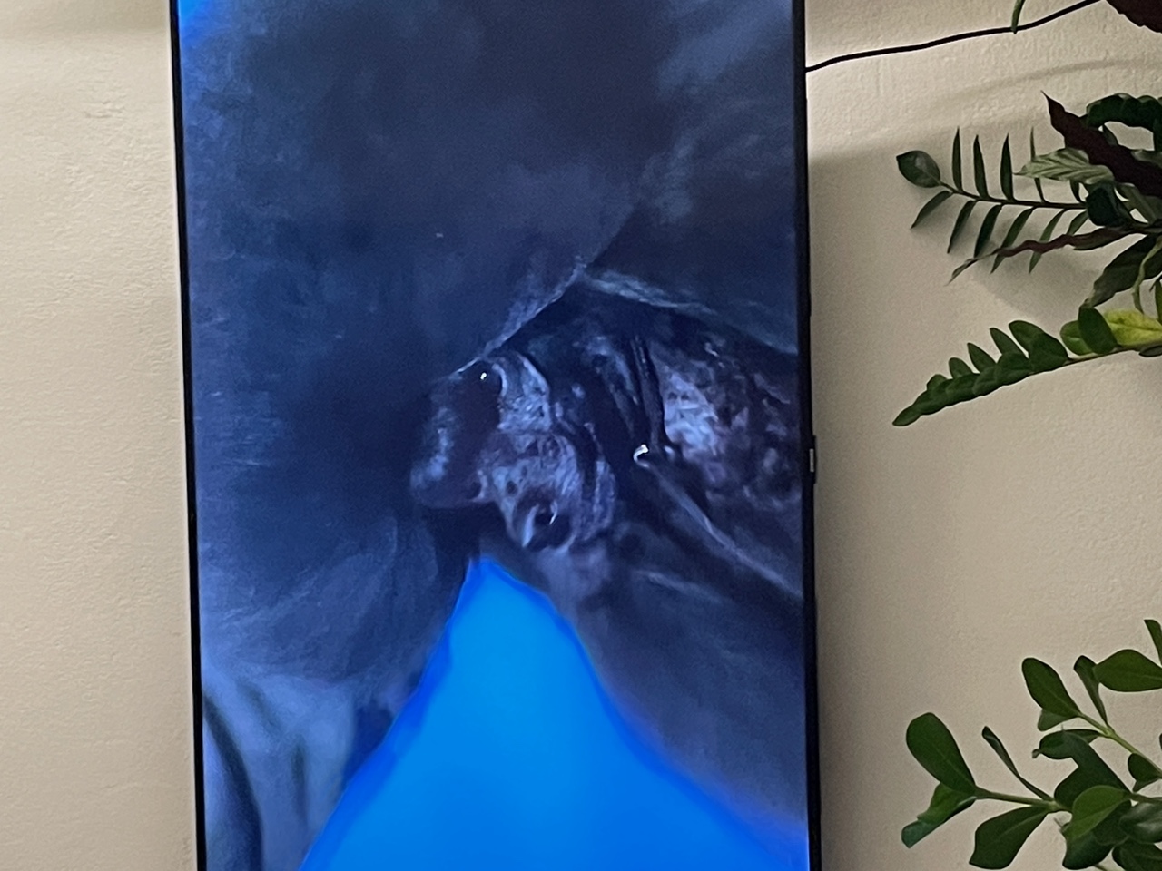 IMG_0607+2.jpeg