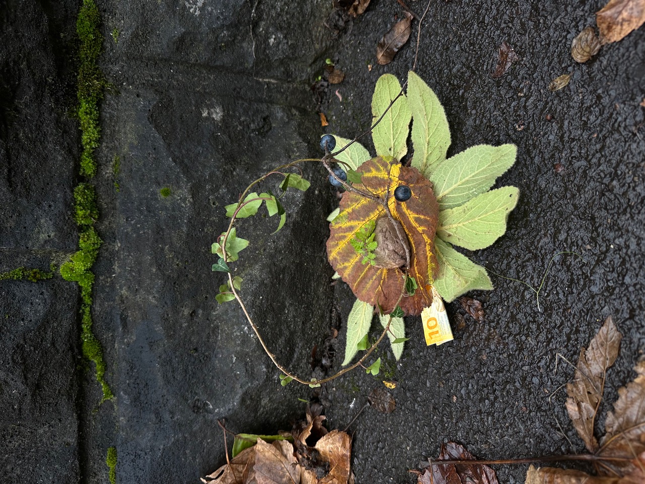 IMG_1152.jpeg
