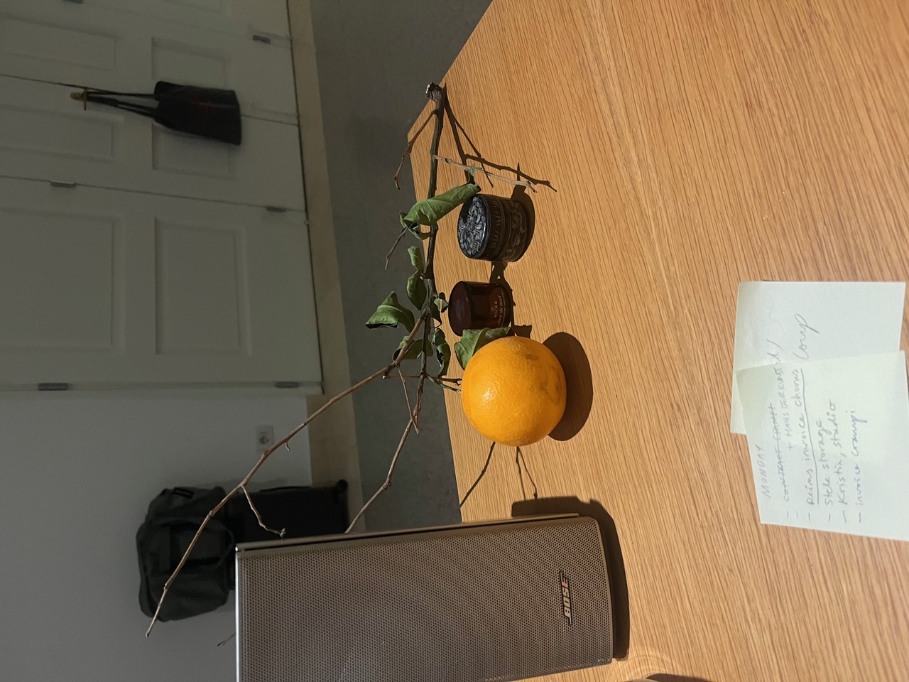 IMG_2806.jpeg
