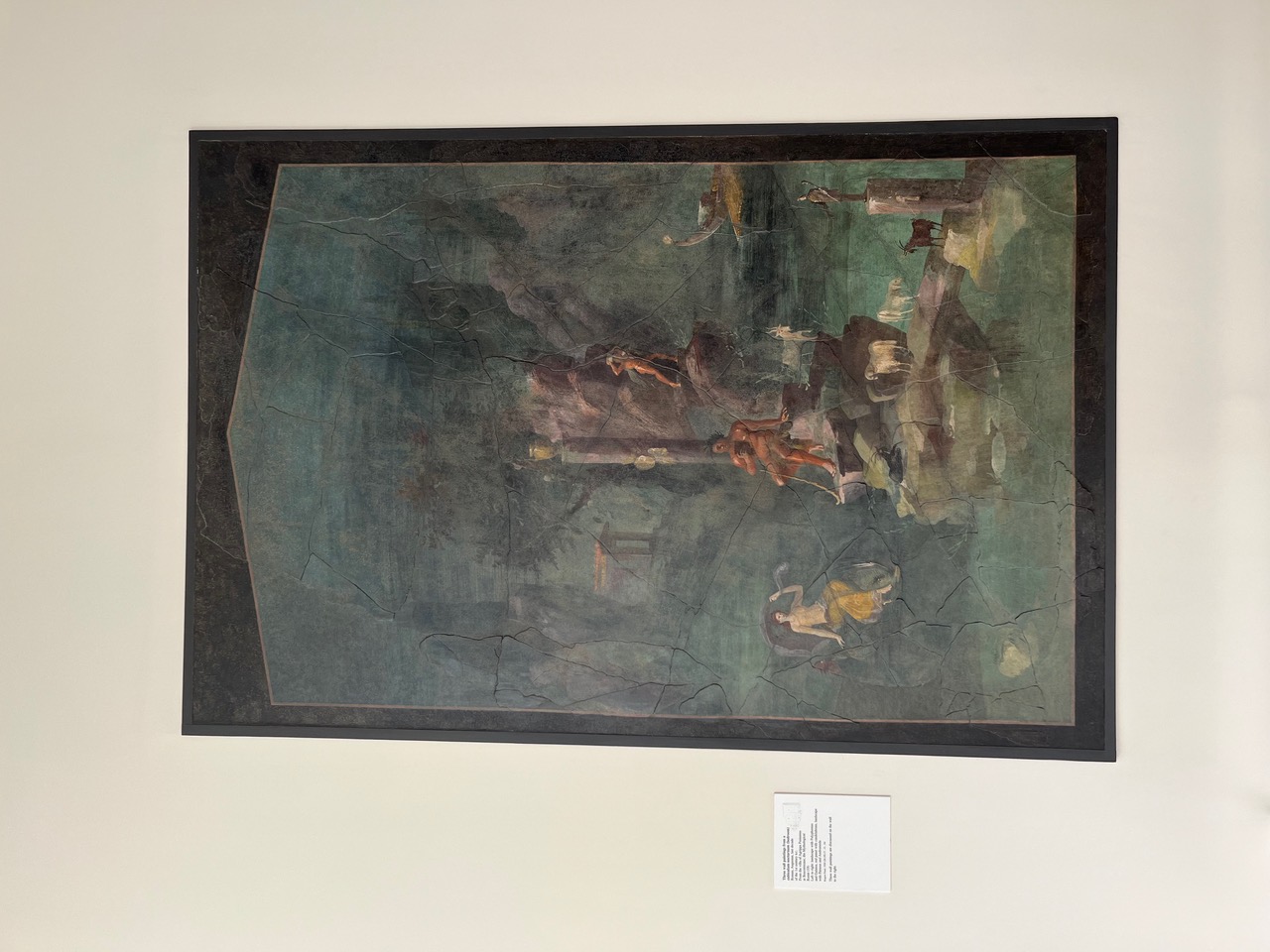 IMG_4041.jpeg