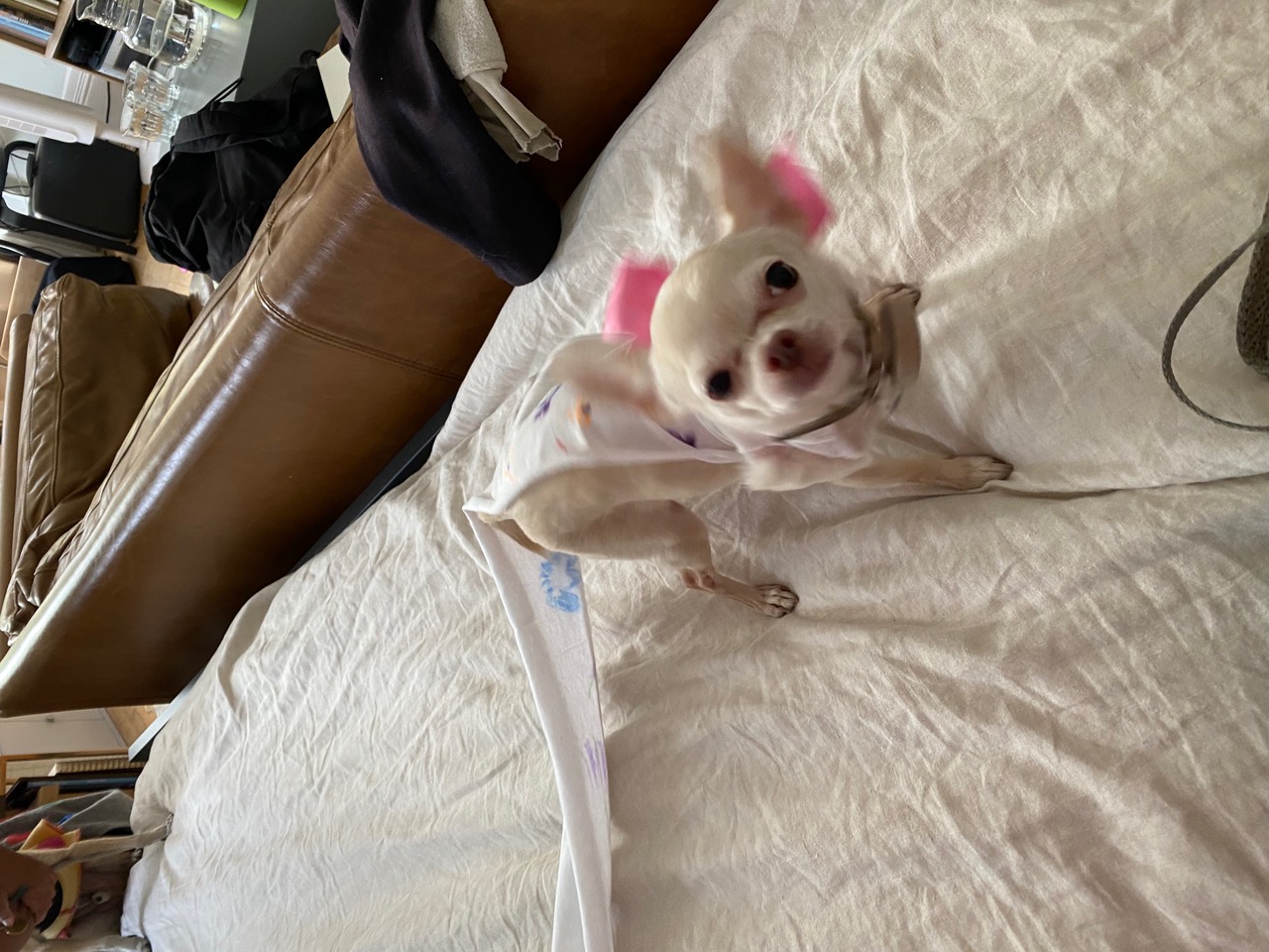 IMG_4454.jpeg