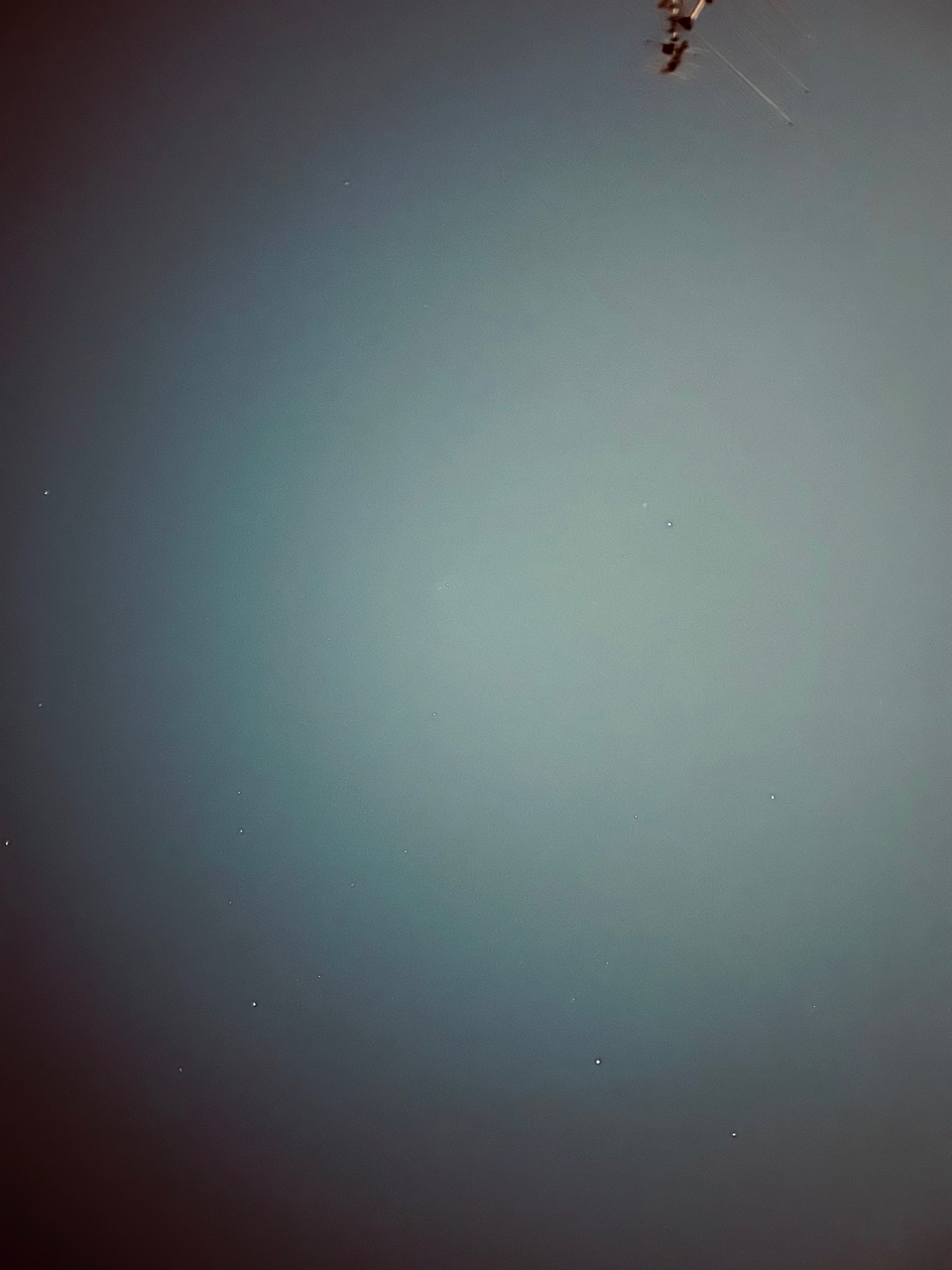 IMG_6344+2.jpeg