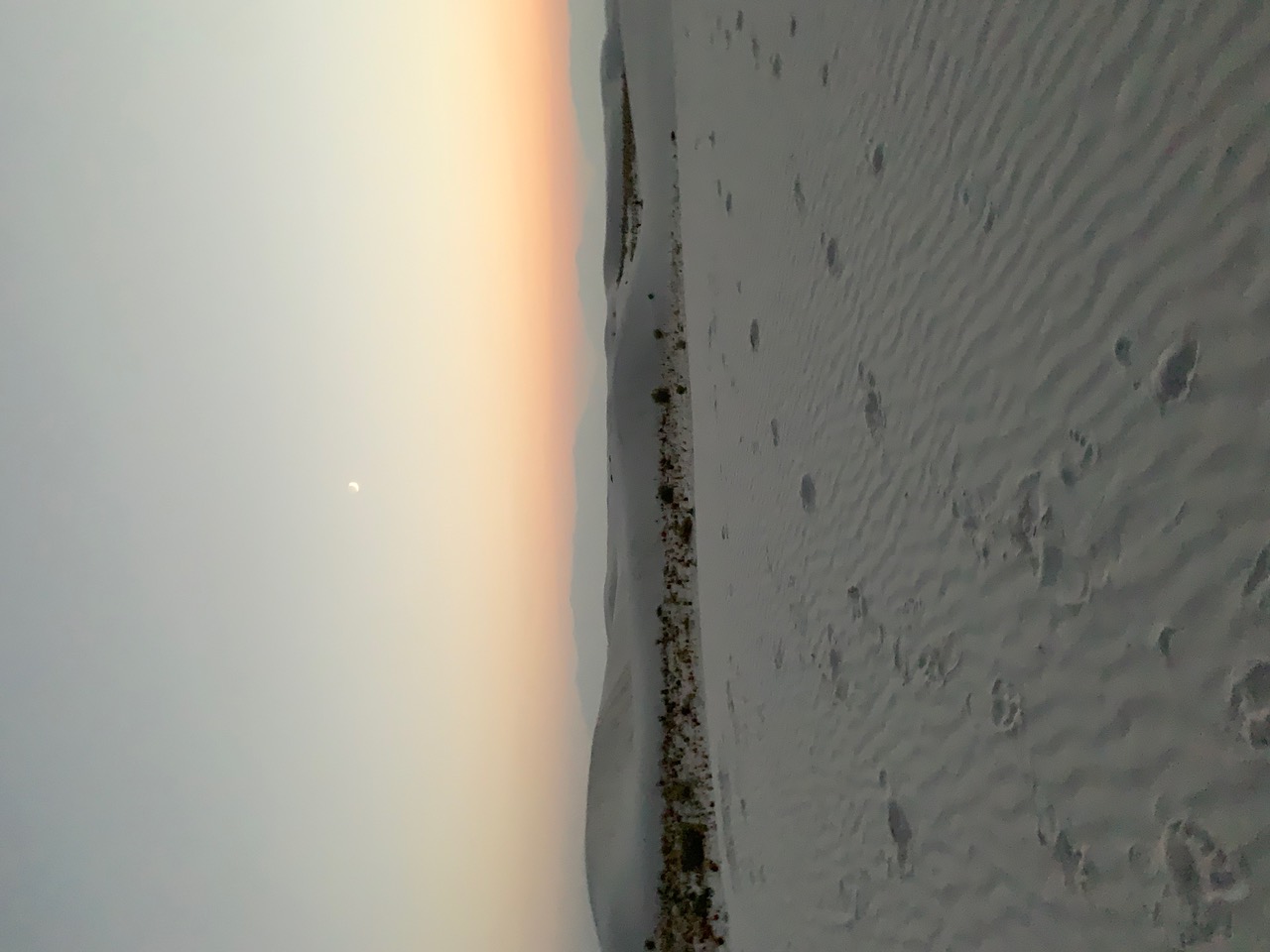 IMG_0259+2.jpeg