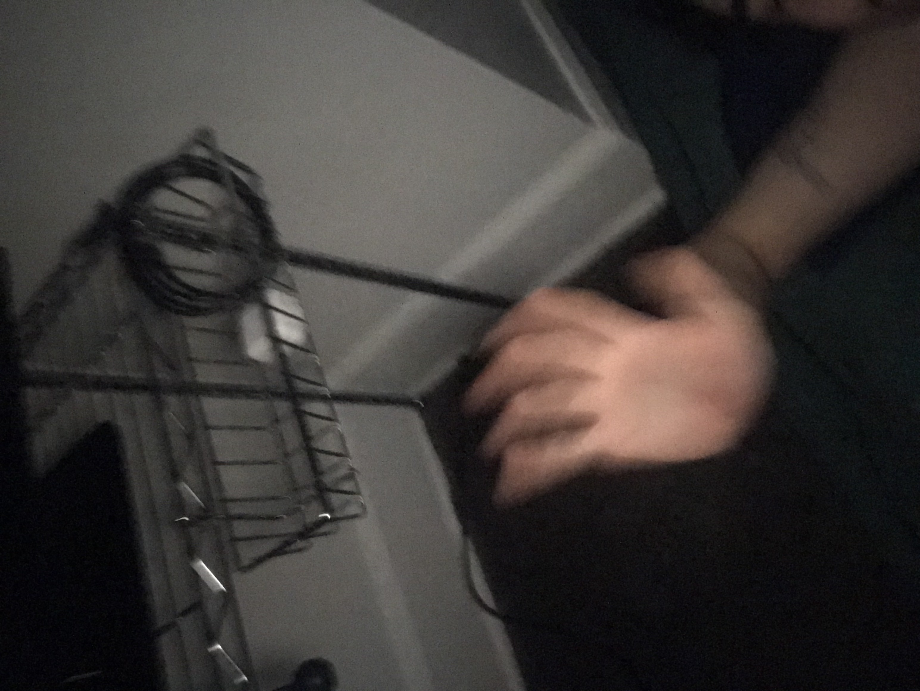IMG_6788.jpeg