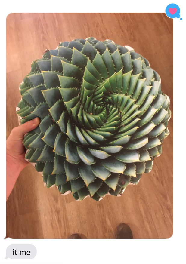 Screen+Shot+2018-05-03+at+10.33.04+AM.png
