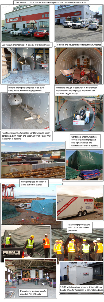 fumigation-collage.jpeg