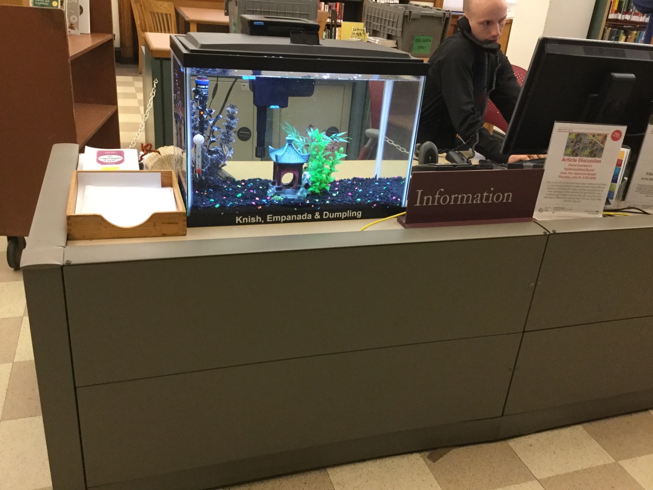 IMG_2270.jpeg
