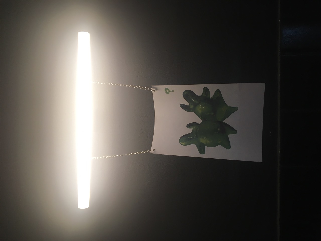 IMG_5557.jpeg