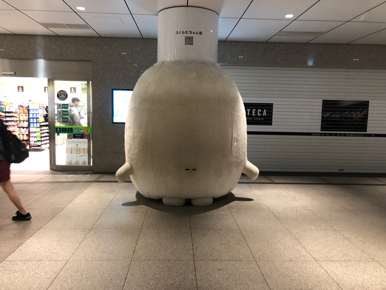 IMG_2759.jpeg