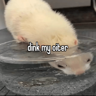 FNbiaroVIAAClkf.png