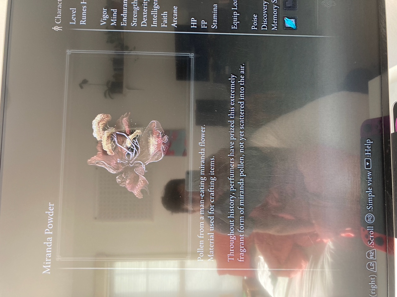 IMG_7664.jpeg