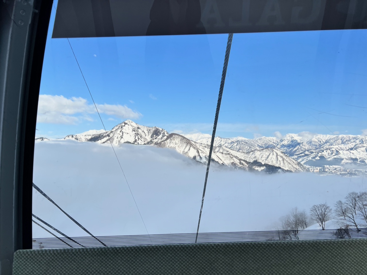IMG_1418.jpeg