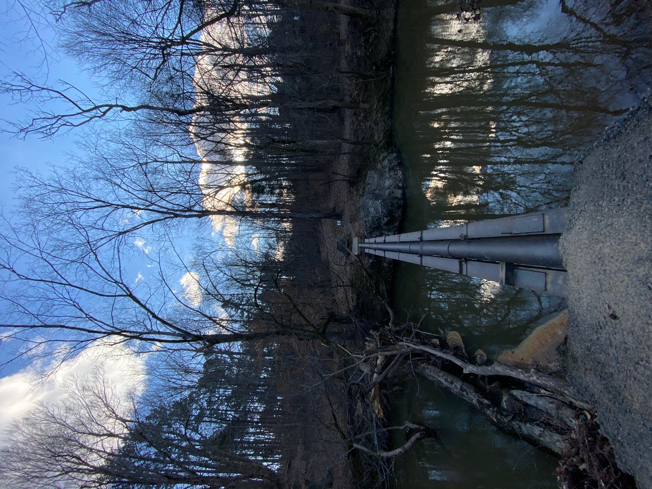 IMG_2055.jpeg