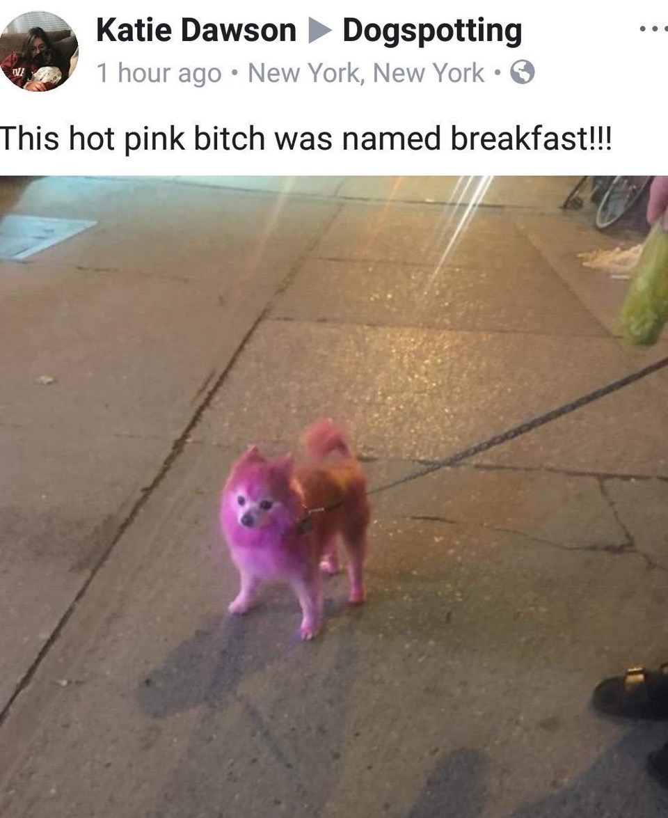 FbMQjPdVUAA5YIs.jpeg
