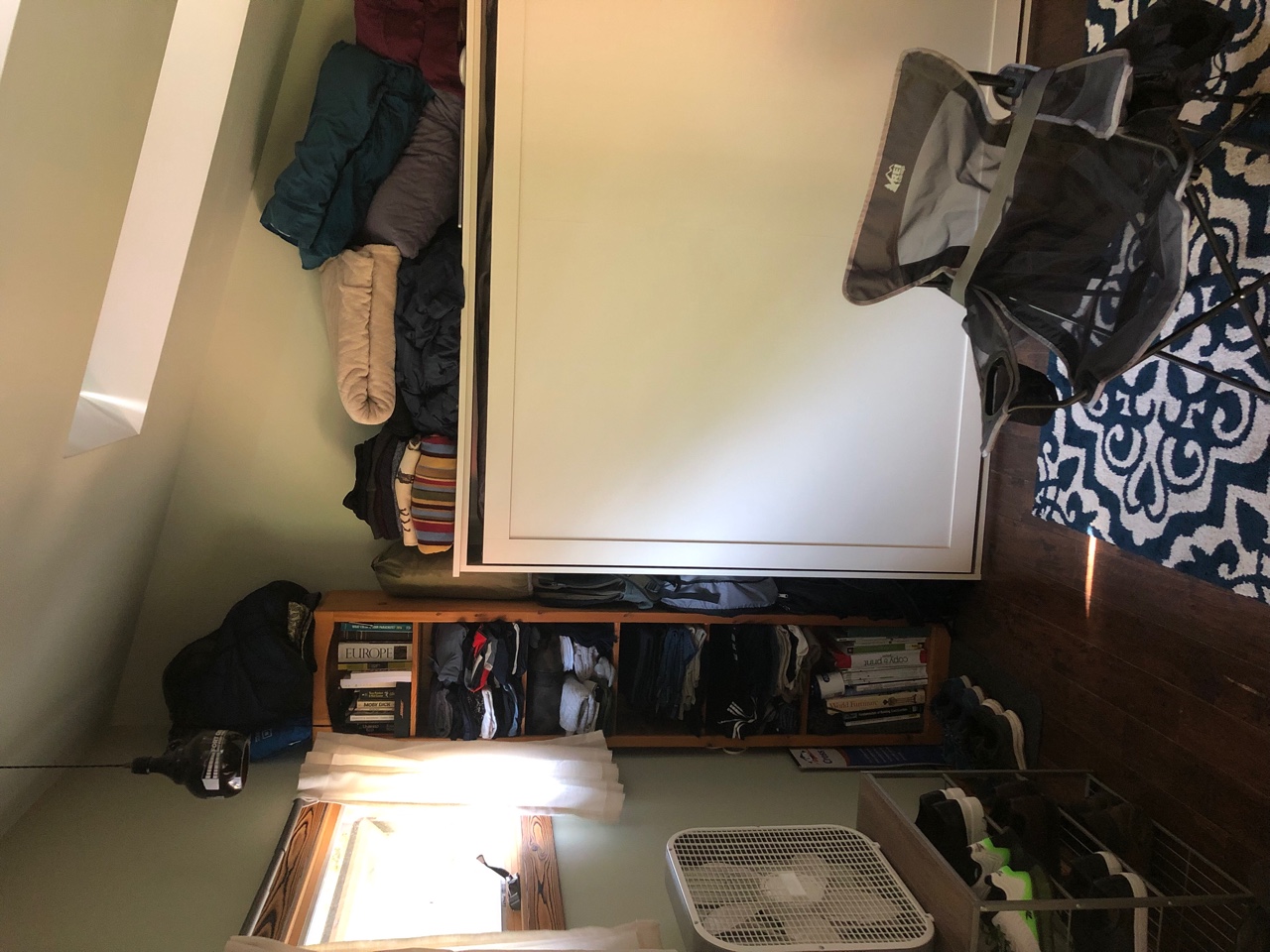 IMG_8290.jpeg