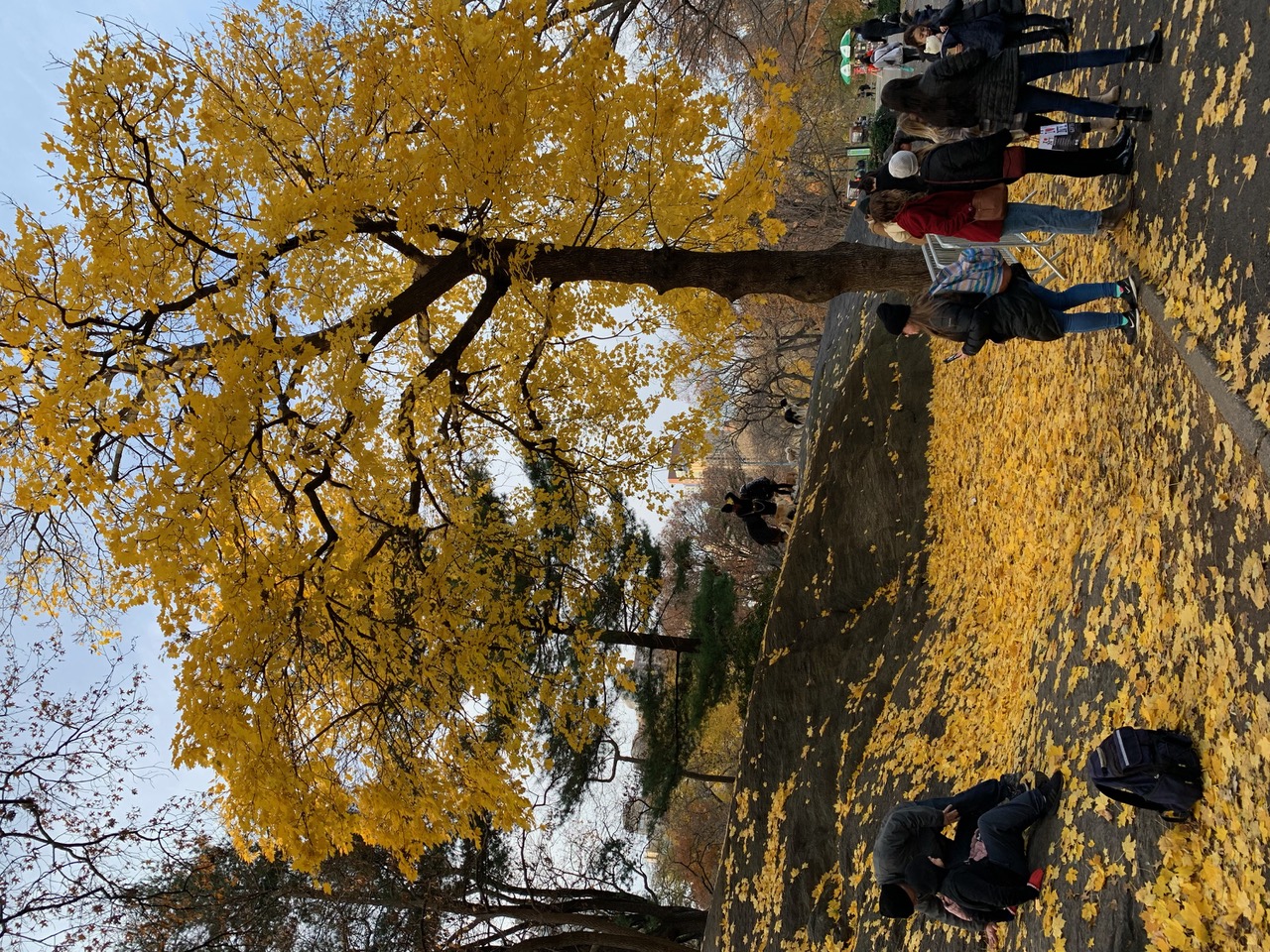 69187520197__1EEEA258-B5ED-4B44-8652-E68423A6638B.jpeg