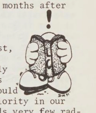 12_screen-shot-2022-11-04-at-3-36-44-pm-png_480x480.png.webp