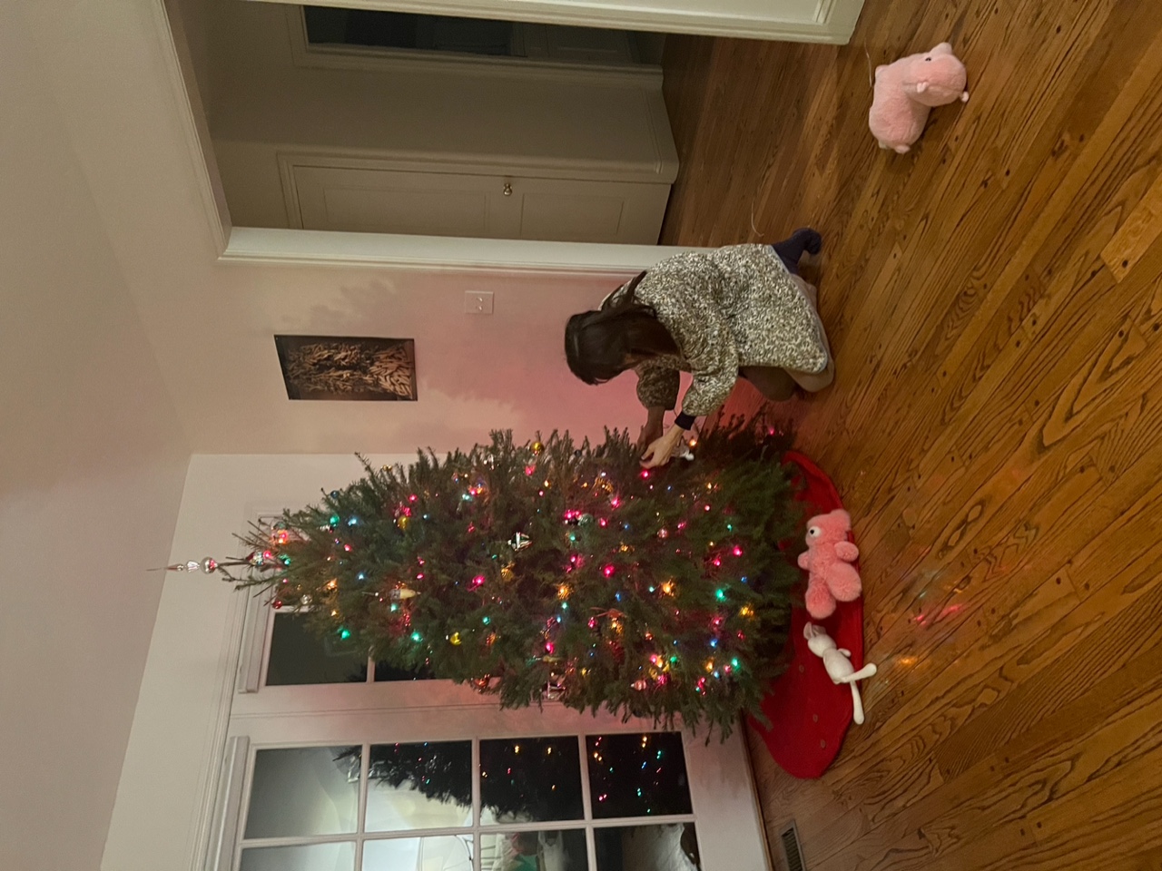 IMG_9809.jpeg