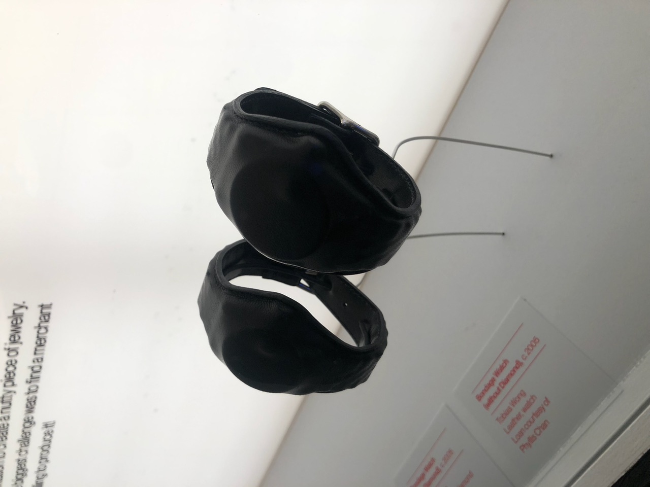 IMG_0461.jpeg