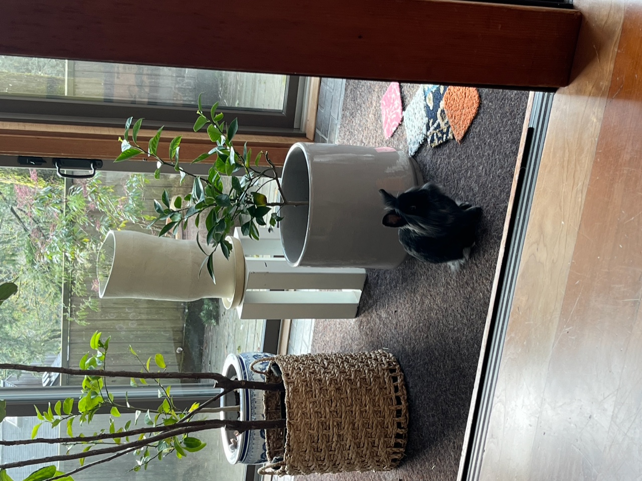 IMG_1332+2.jpeg