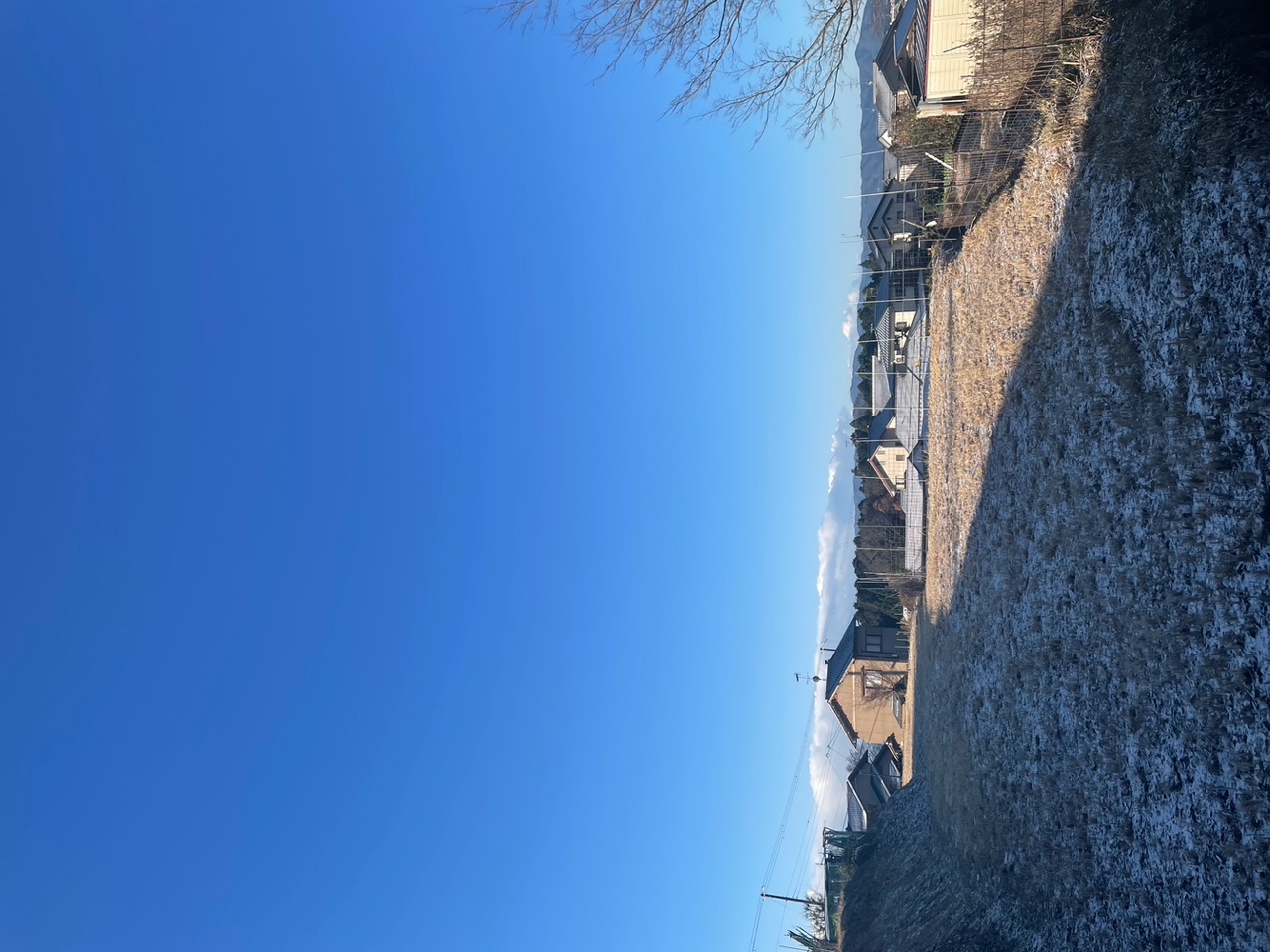 IMG_7806.jpeg