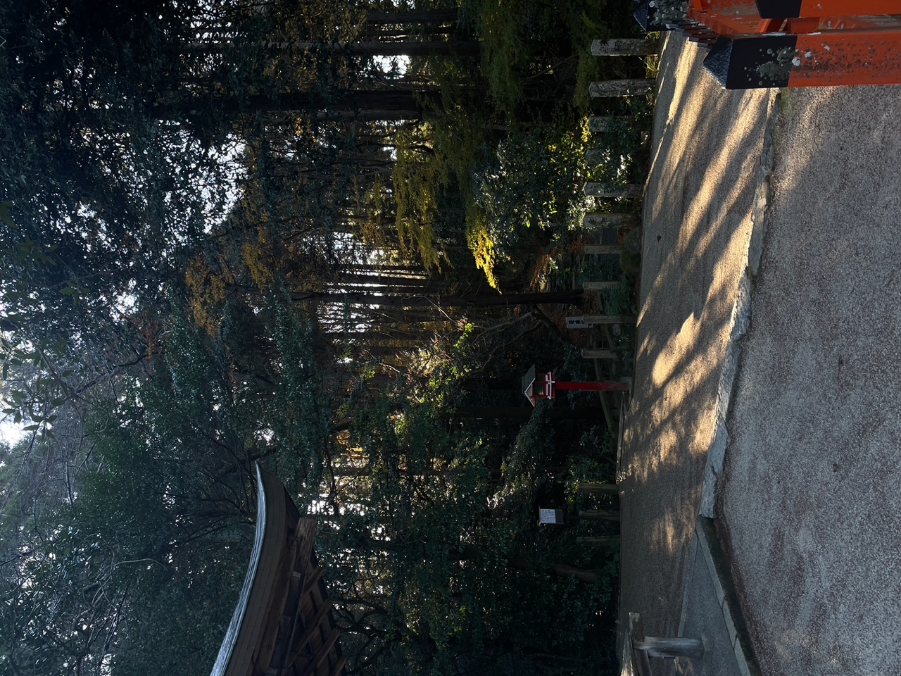 IMG_7807.jpeg