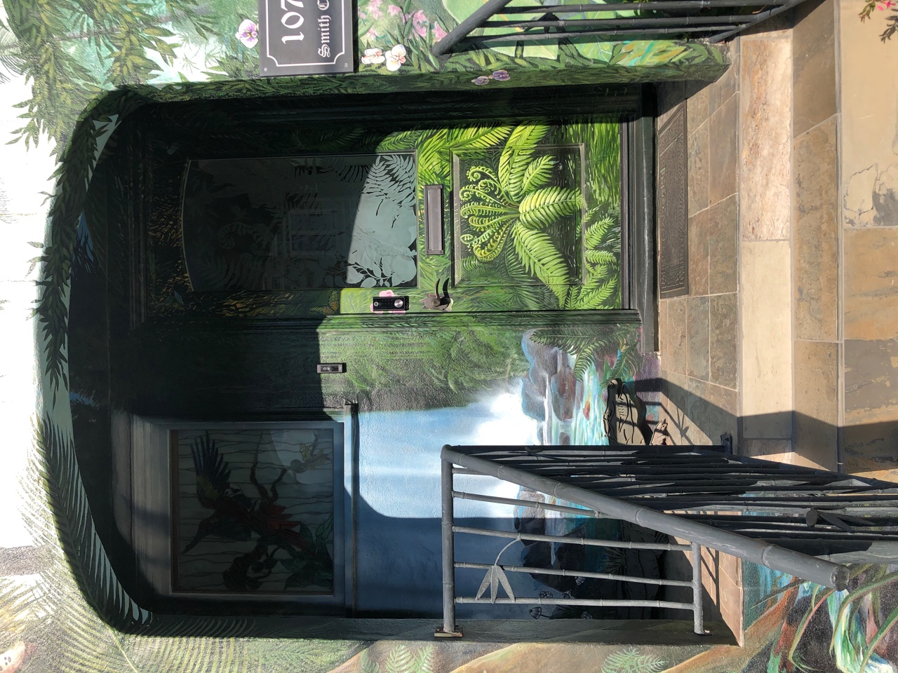 IMG_8805.jpeg