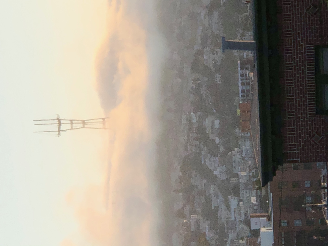 IMG_8821.jpeg