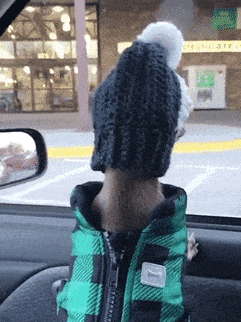 IMG_0893.gif