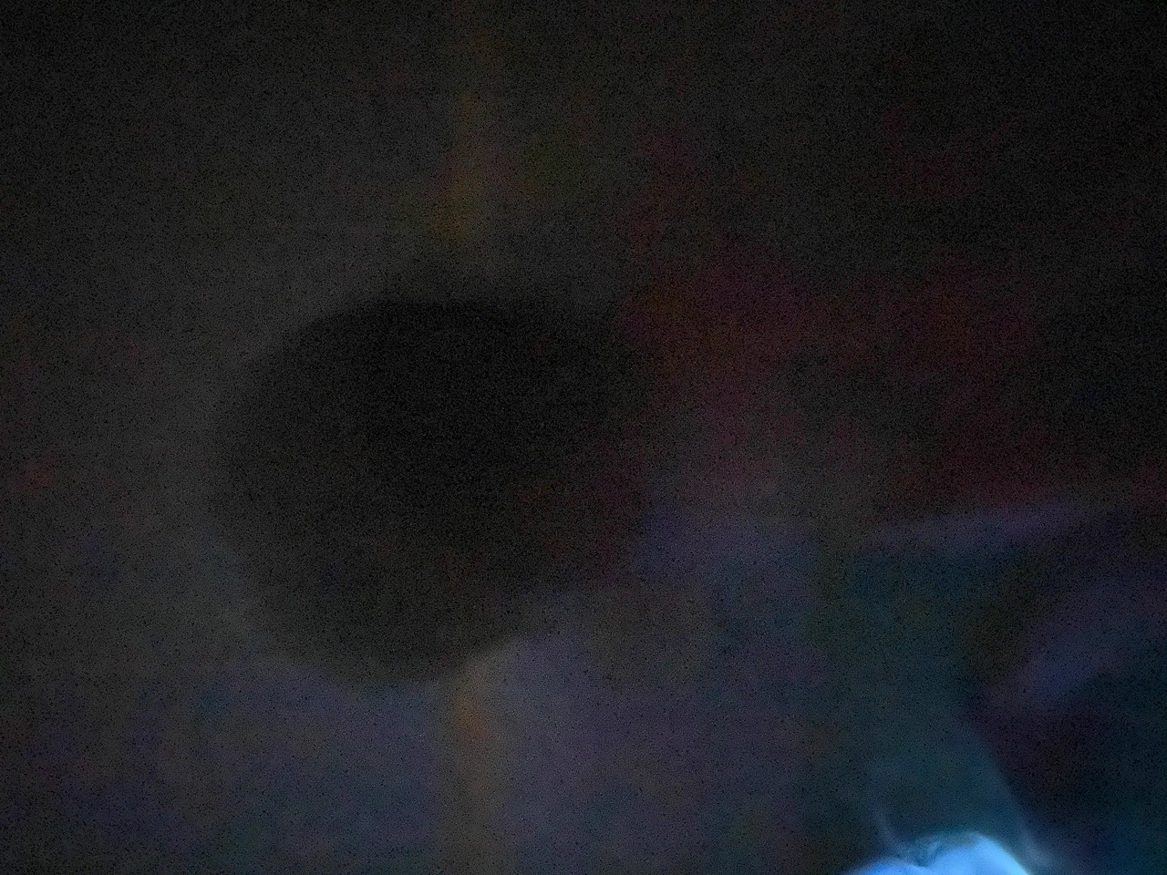 IMG_3154+2.jpeg