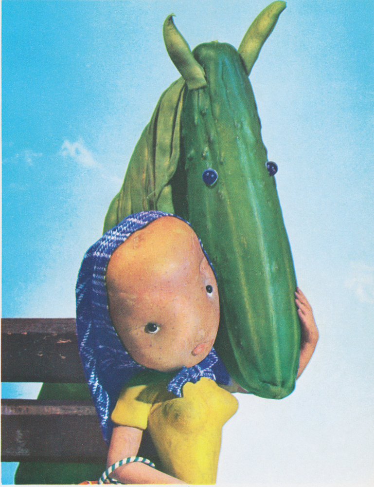 12_HRAC_Pferdegurke.jpg