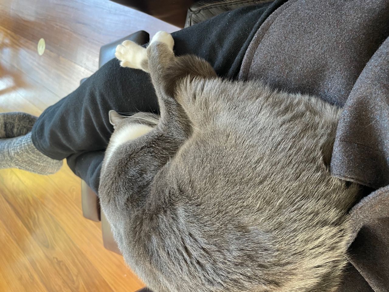 IMG_8136.jpeg