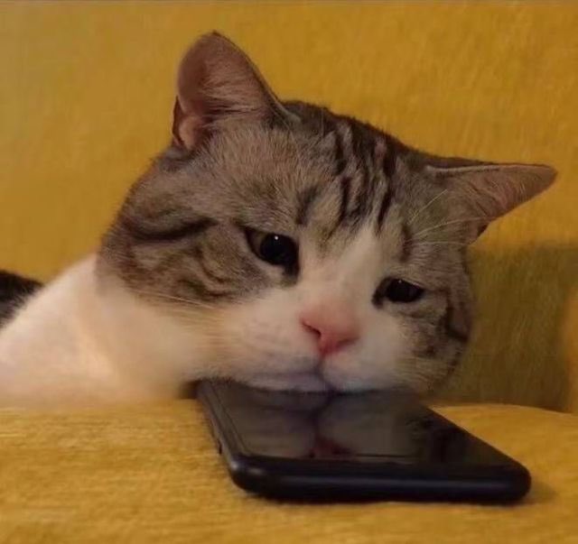 FEfg2IfXIAwL-4G.jpeg