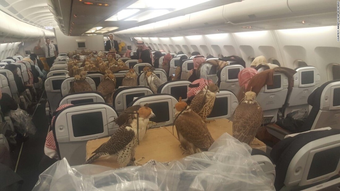 Facons-On-Airplane.jpg