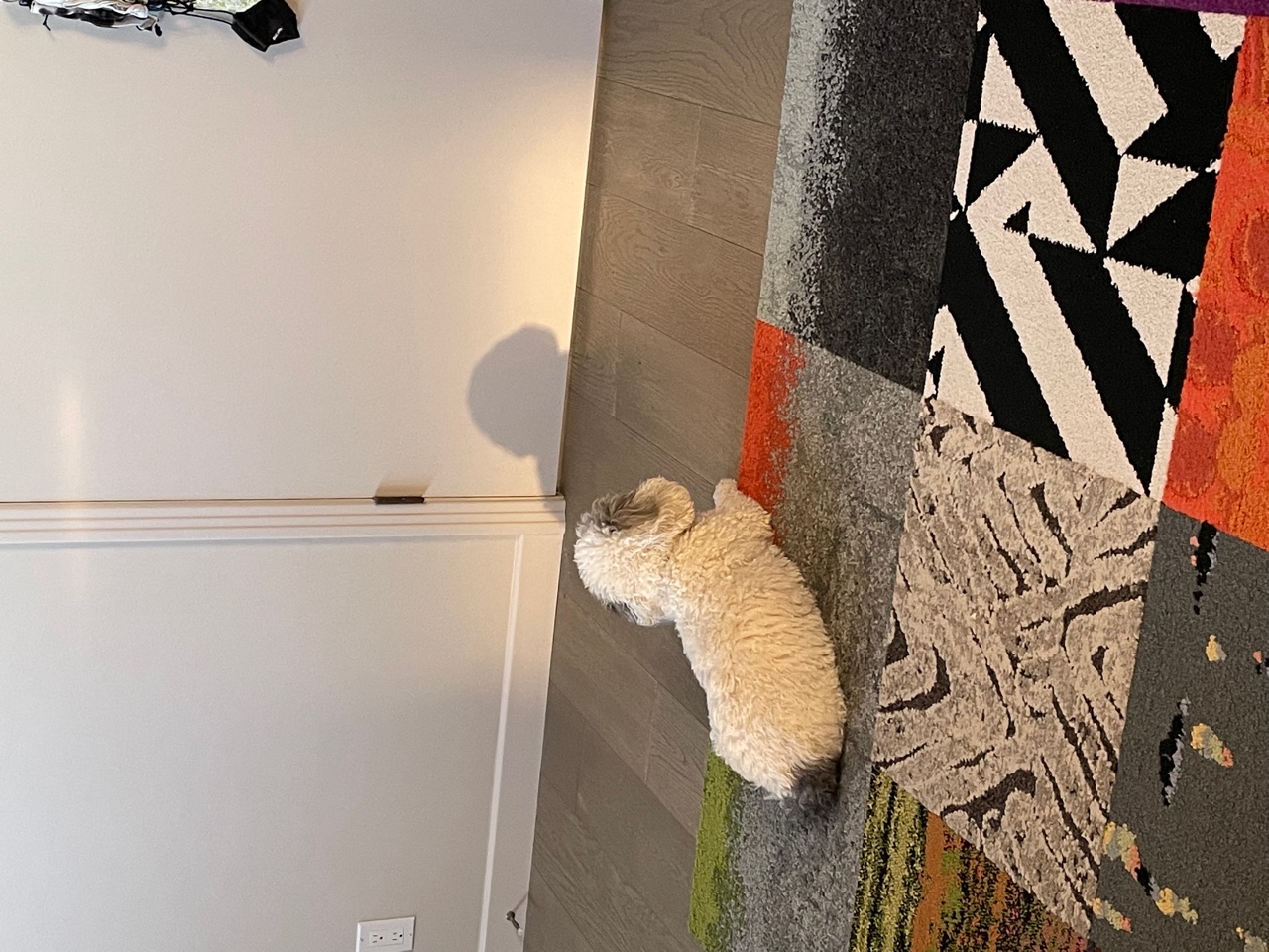 IMG_0375.jpeg