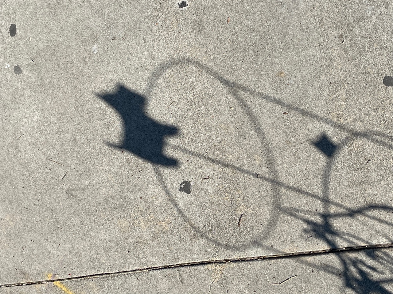 IMG_0383.jpeg